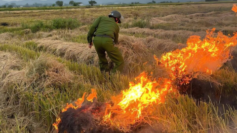 Huế: “Kích hoạt” đường dây nóng và ứng dụng Hue-S xử lý nhanh tình trạng đốt rơm rạ