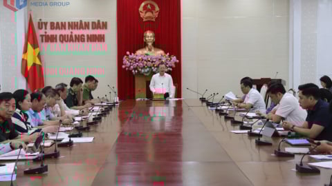 Quảng Ninh xử lý 752 vụ buôn lậu, hàng giả trong quý I/2025