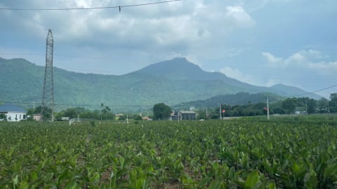 Cá nhân, tổ chức có được phép rao bán đất nông nghiệp hay không?