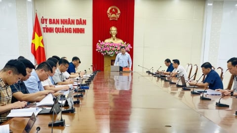 Chấn chỉnh tình trạng chậm hoàn tất thủ tục giao khu vực biển ở Quảng Ninh