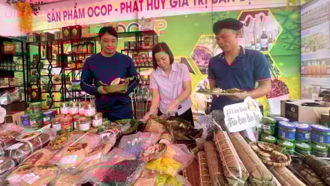 Hơn 1.000 sản phẩm OCOP đặc trưng được Phú Thọ xúc tiến thương mại