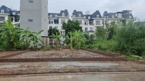 Có bao nhiêu tiền mới mua được đất thổ cư, đất dịch vụ phân lô tại Hoài Đức (Hà Nội)?