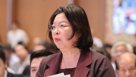 Bà Cao Xuân Thu Vân: HTX đang bơi giữa dòng chảy rất lớn, chương trình đầu tư không có 'bóng dáng' của HTX