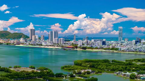 Mỗi mét vuông xanh ở Quy Nhơn – Một thước đo lương tri của đô thị 
