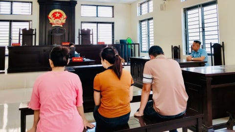 3 nhân viên doanh nghiệp kháng cáo vì bị kết tội sản xuất, buôn bán hàng giả