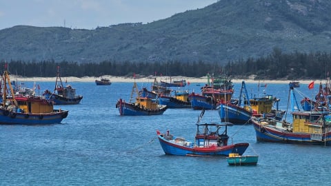 Loạt ca sĩ nổi tiếng sắp về Bình Định trong đêm khai mạc du lịch hè “Quy Nhơn - Thiên đường biển - Khát vọng vươn xa”