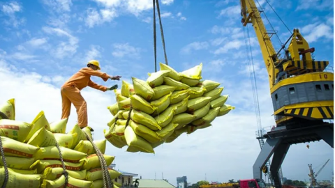 Giá gạo giảm gần 19%, xuất khẩu gạo sang Indonesia giảm tới 97,9%, gạo Việt có lo không?
