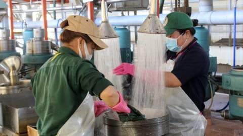 Chính sách nào giúp kinh tế Tây Ninh ghi nhận hàng loạt tín hiệu khởi sắc, xuất khẩu tăng tốc, thu ngân sách đạt 50% kế hoạch?