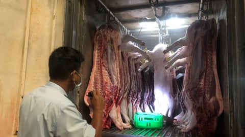 TP.Huế yêu cầu xử lý nghiêm tình trạng giết mổ lợn bệnh, lợn chết do dịch bệnh 