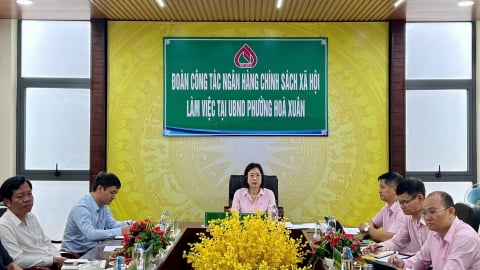 Đà Nẵng: Cẩm Lệ tạo mọi điều kiện cho người dân tiếp cận nguồn vốn ưu đãi sau sắp xếp đơn vị hành chính