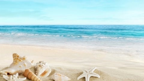 Cách chăm sóc da bằng cát biển: Bí quyết tự nhiên giúp làn da sáng mịn, tươi trẻ