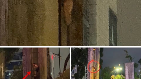 Người đàn ông ngoại quốc náo loạn Hồ Con Rùa, đang được giải cứu