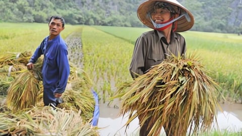 “Nông dân” - 'Tuyệt tác báo chí' bằng thơ (Bài 6) - 10 bài báo kinh điển về đề tài tam nông trong 40 năm Đổi mới