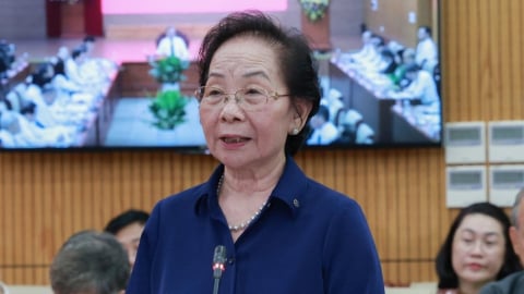 Nguyên Phó Chủ tịch nước Nguyễn Thị Doan: Xử lý quyết liệt hàng giả nhưng tránh tình trạng 'đốt cả ván'
