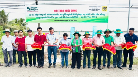 Phân bón Bình Điền đẩy mạnh Dự án 'Xây dựng mô hình canh tác lúa giảm phát thải phục vụ phát triển bền vững vùng nguyên liệu lúa gạo xuất khẩu của ĐBSCL'