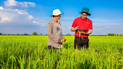 Agribank - Vững thế chủ lực đối với “trụ đỡ” nền kinh tế