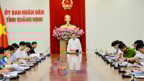 54 Chủ tịch xã, phường, đặc khu tham gia Ban Chỉ đạo 389 tỉnh Quảng Ninh