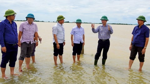 Tỉnh Quảng Trị cần Trung ương hỗ trợ gần 173 tỷ đồng để làm một việc quan trọng