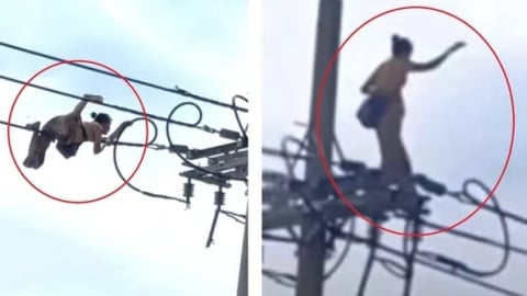 TIN NÓNG 24 GIỜ QUA: Từ vụ án mại dâm, khám phá vụ cô gái bị sát hại, phi tang xác; người phụ nữ trèo lên dây điện hạ thế, ngã tử vong