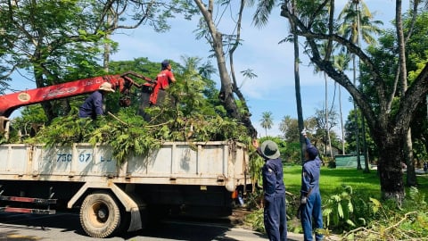  Huế thành lập Trung tâm Quản lý và khai thác hạ tầng và Trung tâm Công viên cây xanh thuộc Sở Xây dựng 