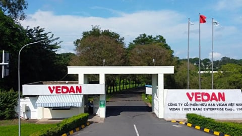 Vedan, Ajinomoto hưởng lợi ra sao từ quyết định 'siết' bột ngọt nhập khẩu?