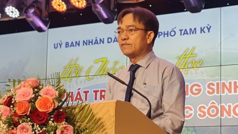 Bí thư, Phó Bí thư Thường trực phường Bàn Thạch, thành phố Đà Nẵng giữ thêm chức vụ mới