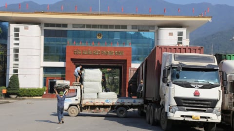 Kim ngạch xuất khẩu 6 tháng tỉnh Quảng Ninh tăng 15,2%