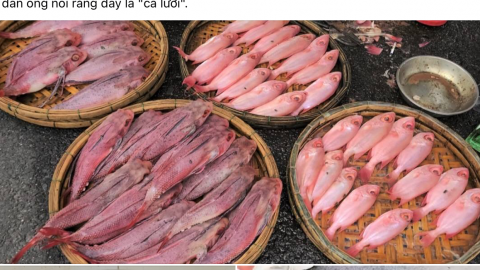Cá 'nhuộm phẩm' ở Đà Nẵng là do được rửa bằng nước ngọt có màu?