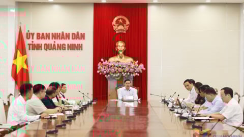 Đề xuất đầu tư dự án kinh tế tuần hoàn 5 tỷ USD tại Quảng Ninh