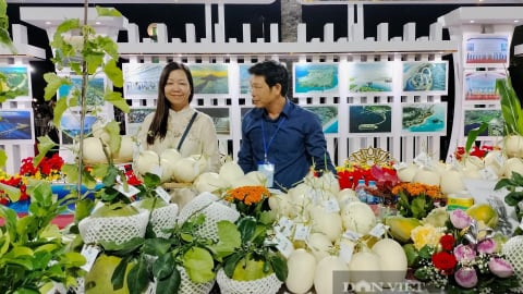 Không cần thế chấp, cá nhân, hộ gia đình nông thôn được vay tối đa 300 triệu đồng, HTX còn cao hơn 