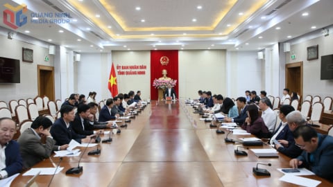 Quảng Ninh thành lập mới 1.150 doanh nghiệp trong nửa đầu năm 2025