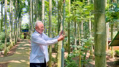 Một ông nông dân ở tỉnh Đắk Lắk mới có vỏn vẹn 4 sào đất, trồng cây gì mà lãi tiền tỷ, cả làng phục lăn?