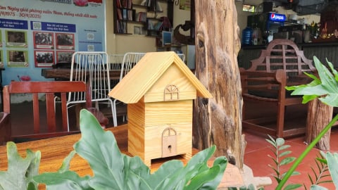 Nuôi ong dú trong 'biệt thự mini' xinh xắn, trai Sài thành làm 'liệu pháp xanh' cho người thành thị