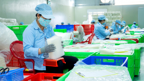 OCOP Tây Ninh có món bánh tráng mỏng tang mà mỗi tháng xuất khẩu 9 tấn, nhiều món khác rầm rộ 'bơi biển lớn'