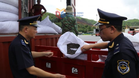 319.500 tấn nông sản xuất khẩu qua Quảng Ninh trong 6 tháng đầu năm 2025 