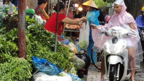 Có nên tích trữ thực phẩm và rau xanh để ứng phó với bão lũ?