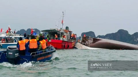 Đề nghị doanh nghiệp bảo hiểm chủ động xác định thiệt hại trong vụ lật tàu Vịnh Xanh 58