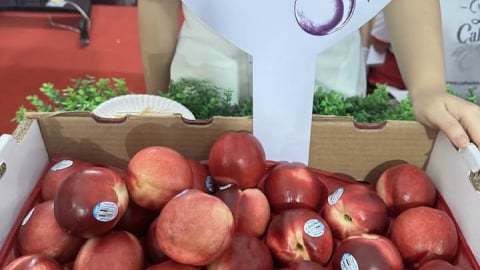Trái cây Mỹ xuất hiện nhiều tại thị trường Việt: Cherry Mỹ chỉ 300.000 đồng/kg