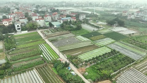 Tiền sử dụng đất 'làm khó' nhà đầu tư và thị trường bất động sản