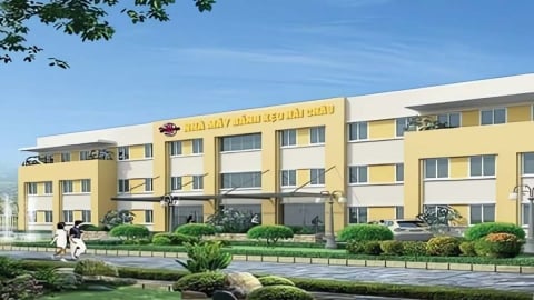 Sức khỏe tài chính Hải Châu Quý II/2025: Doanh thu tăng vọt, lãi 2,5 tỷ đồng 
