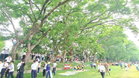 Đà Nẵng: Phường Hương Trà cần hướng tới đô thị sinh thái, công nghiệp sạch và nông nghiệp đô thị