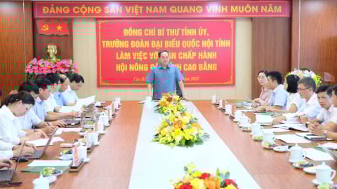Làm việc với Hội Nông dân tỉnh, Bí thư Tỉnh ủy Cao Bằng nhấn mạnh vai trò trung tâm, nòng cốt hỗ trợ nông dân làm giàu