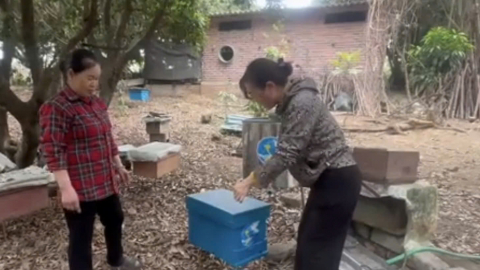 Con vật bé tí ti này, nuôi ở một khu rừng ở Hải Phòng, ngờ đâu nó 'rinh' sao OCOP về cho nông dân