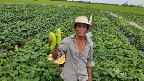 Nông dân ở thành phố Đà Nẵng được tiếp sức hàng trăm tấn phân bón trả chậm