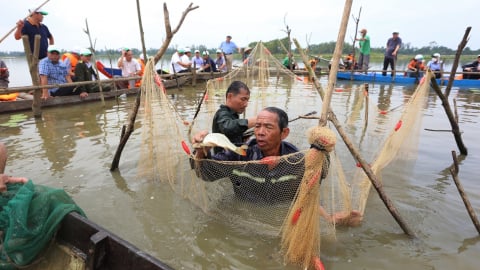 Thành phố Đà Nẵng có hơn 10.000ha mặt nước, thuận lợi cho nghề nuôi trồng thuỷ sản, tạo nguyên liệu xuất khẩu
