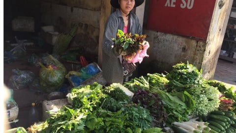 Giá rau xanh ở Hà Nội tăng gấp đôi sau chuỗi ngày mưa kéo dài