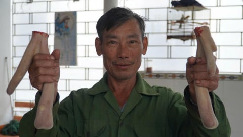 Giảm nghèo bền vững nhờ nuôi hươu ở miền núi Hà Tĩnh