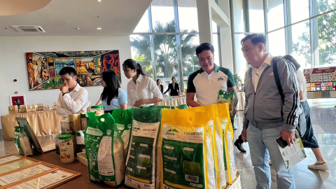 Chuyển đổi xanh trở thành “chìa khóa” cạnh tranh của doanh nghiệp Miền Trung – Tây Nguyên