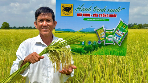 Đất khỏe hôm nay, mùa vàng ngày mai