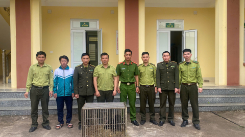 Vườn Quốc gia Hoàng Liên tiếp nhận 2 cá thể gấu ngựa